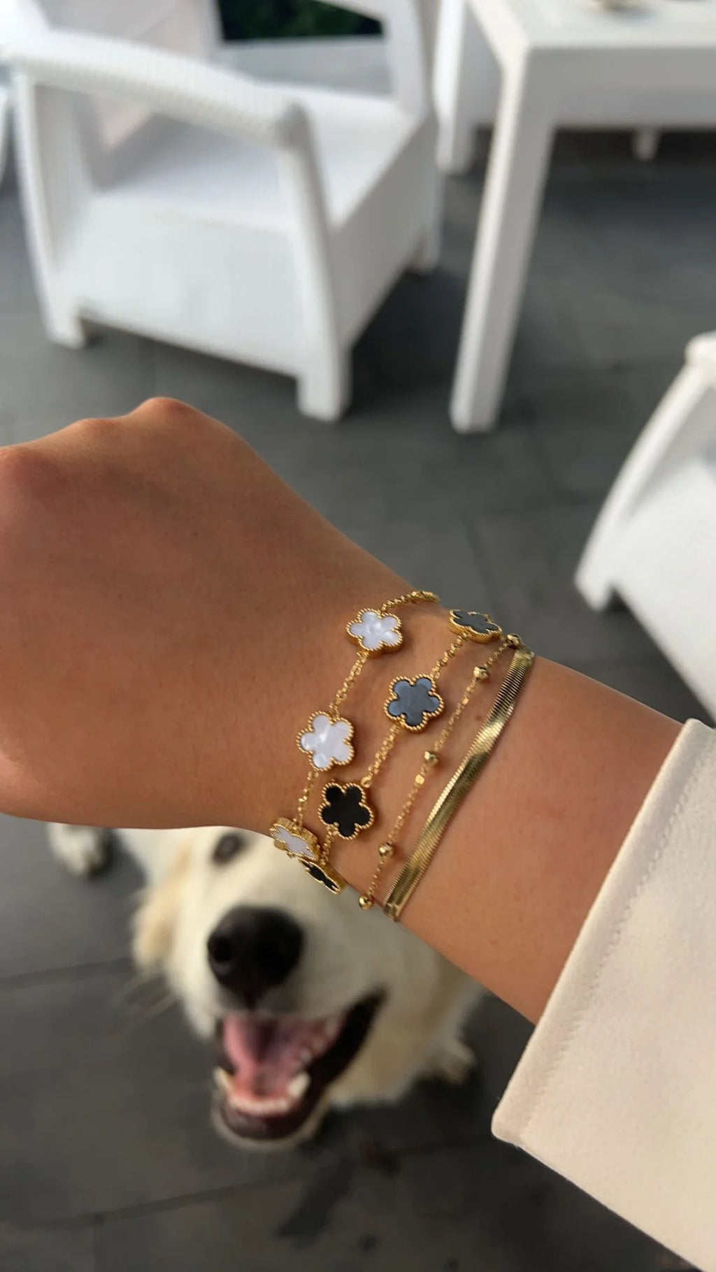 2025 Silver/Gold Plated New Stainless Steel Jewelry Bracelet Plum Blossom Five Leaf Flower Women's High Quality Clover